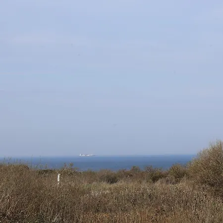 Les 4 Oies -