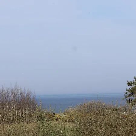 Les 4 Oies -