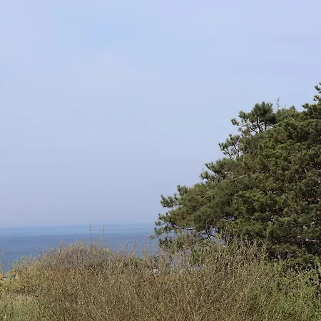 Les 4 Oies - ヴィムルー